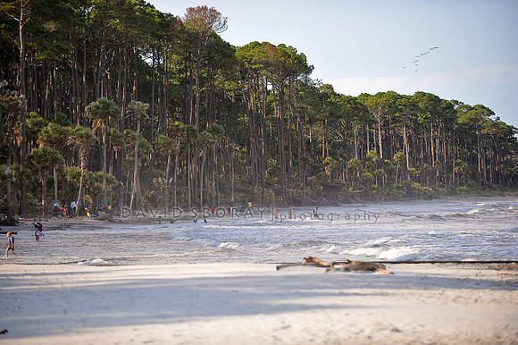 Hunting Island, SC.