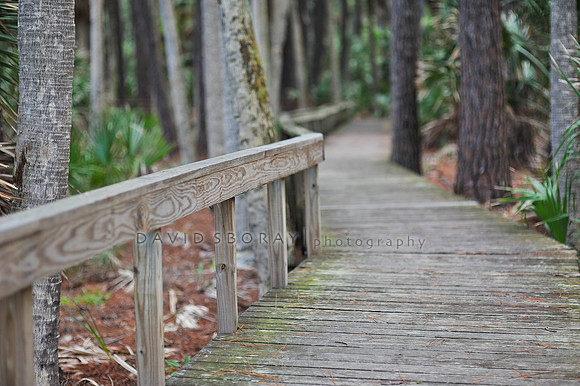 Hunting Island