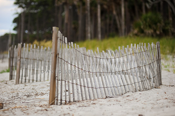 Hunting Island