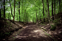 Adam Run Trail - Hampton Hills | Dirty World Course